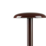 Angers Nantes Cholet Saumur Icones Flos Gustave Lampe Batterie Marron Castiglioni 000