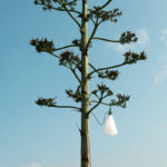 Angers Nantes Cholet Saumur Icones Flos Mayday Lampe a poser vert outdoor Constantin Grcic 4
