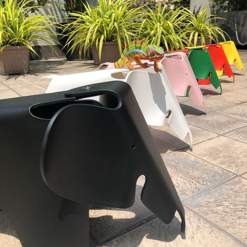 Angers Nantes Cholet Saumur bordeaux paris laval poitiers niort le mans Tours Orleans Icones Vitra objet deco noir Eames elephant 10