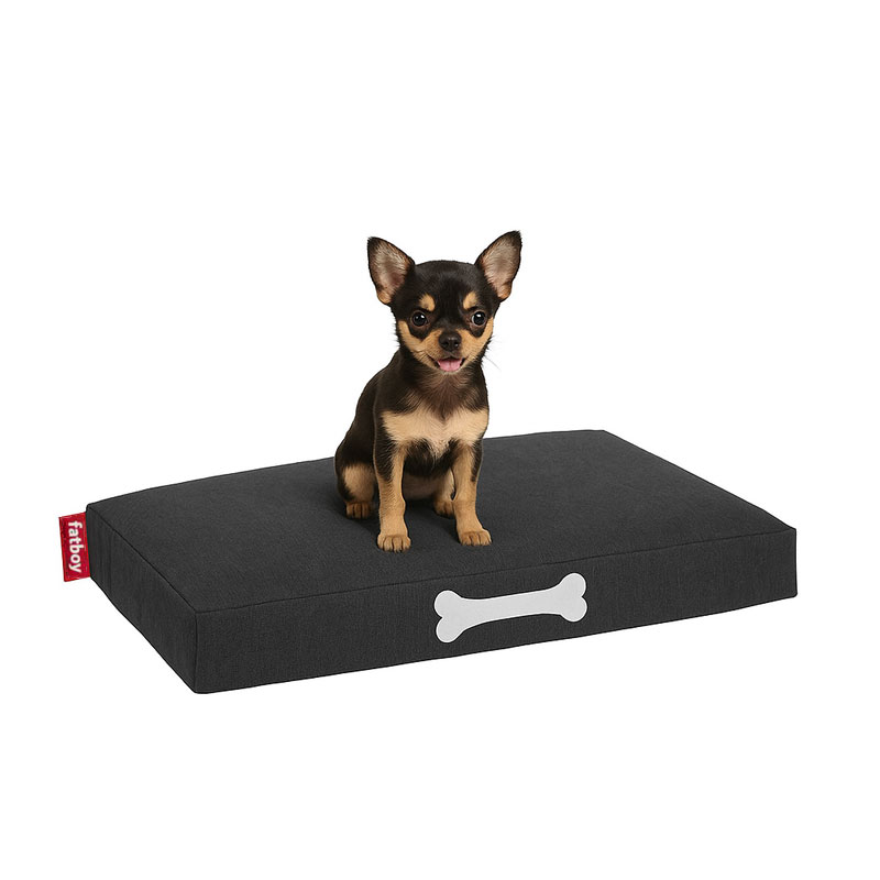 Angers Nantes Cholet Saumur Icones Fatboy Doggielounge large mobilier indoor Thunder Grey dog chien 02