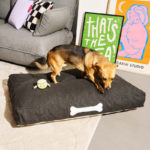 Angers Nantes Cholet Saumur Icones Fatboy Doggielounge large mobilier indoor Thunder Grey dog chien 3