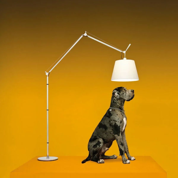 Angers Nantes Cholet Saumur Icones Artemide Lampadaire Tolomeo Mega Noir Aluminium Michele De Lucchi 12
