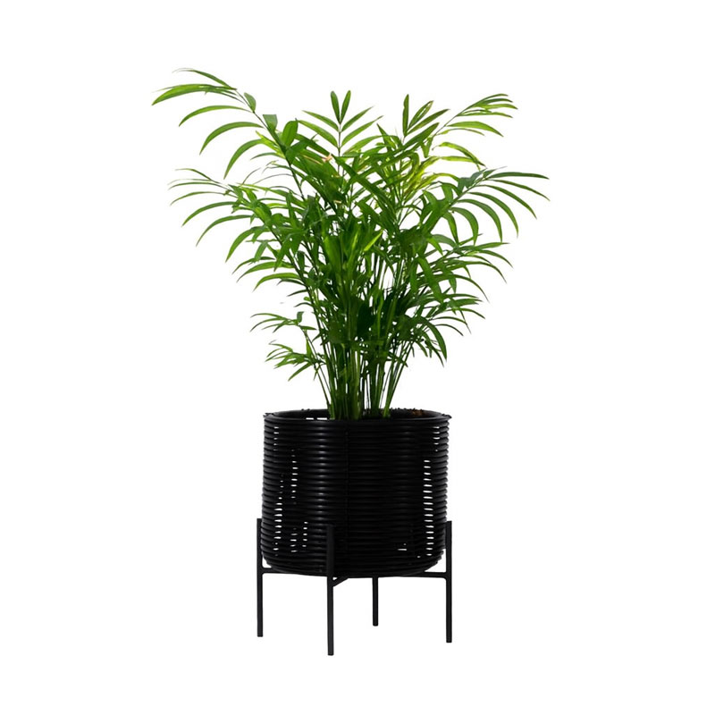 Angers Nantes Cholet Saumur Icones Pot plantes Vincent Sheppard Ivo mobilier exterieur outdoor Rotin Noir large 01