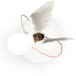Angers Nantes Cholet Saumur Icones Ingo Maurer Applique lucellino oiseau poetique ampoule verre plume blanc 1