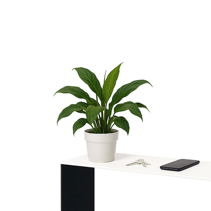 Angers Nantes Cholet Saumur Paris Bordeaux le mans Icones Console Glas Italia Sio2 Bridge Verre Trempé Noir Blanc Piero Lissoni 02