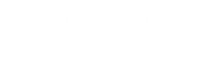logo icone