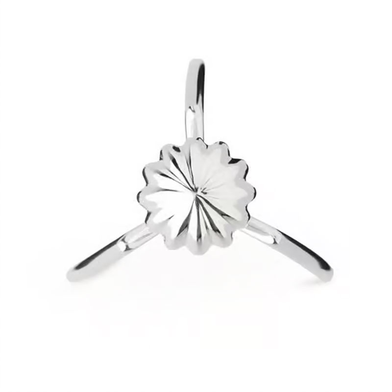 Angers Nantes Bordeaux Rennes Paris Mans Tours Lille Nice Lyon Icônes Alessi Presse Agrume Juicy Salif argent Philippe Starck 2