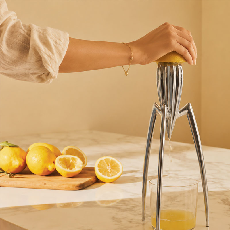 Angers Nantes Bordeaux Rennes Paris Mans Tours Lille Nice Lyon Icônes Alessi Presse Agrume Juicy Salif argent Philippe Starck 5